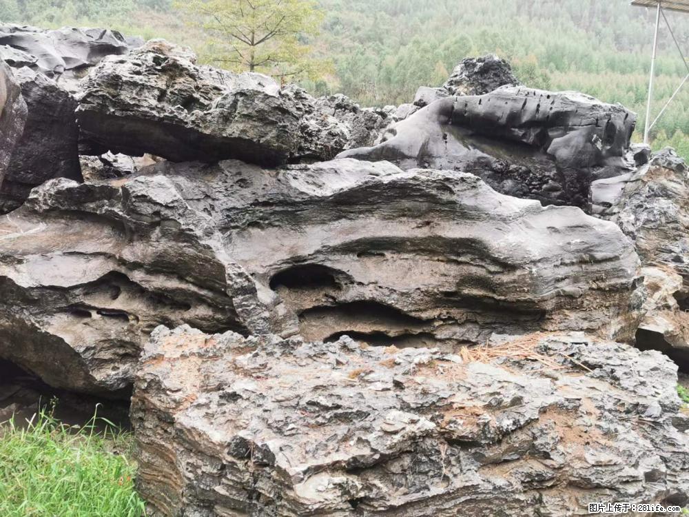 风景石、假山石大量有货，有需要的欢迎联系 - 新手上路 - 景德镇生活社区 - 景德镇28生活网 jdz.28life.net