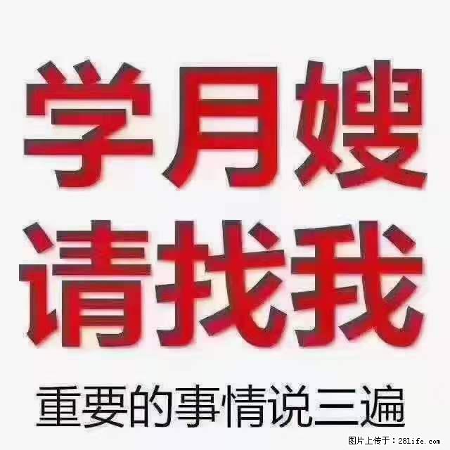 为什么要学习月嫂，育婴师？ - 其他广告 - 广告专区 - 景德镇分类信息 - 景德镇28生活网 jdz.28life.net