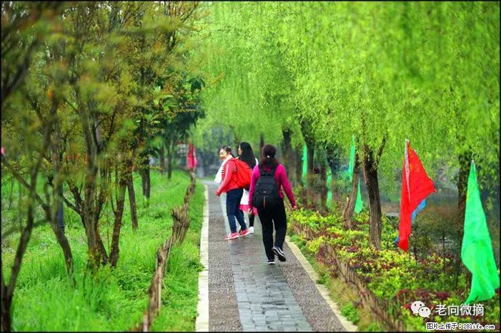 【春天，广西桂林灌阳县向您发出邀请！】江口老街又逢春 - 游山玩水 - 景德镇生活社区 - 景德镇28生活网 jdz.28life.net