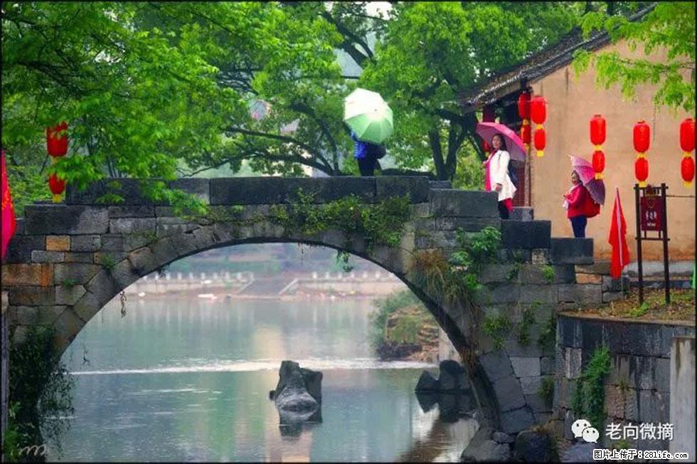 【春天，广西桂林灌阳县向您发出邀请！】江口老街又逢春 - 游山玩水 - 景德镇生活社区 - 景德镇28生活网 jdz.28life.net