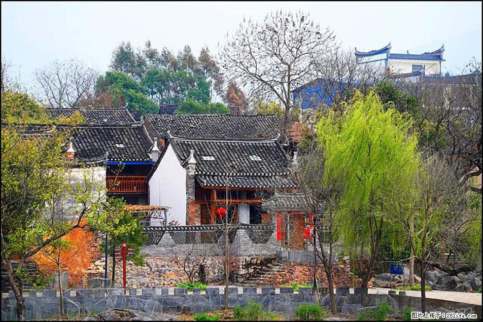 【春天，广西桂林灌阳县向您发出邀请！】江口老街又逢春 - 游山玩水 - 景德镇生活社区 - 景德镇28生活网 jdz.28life.net