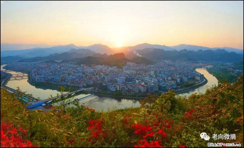 【春天，广西桂林灌阳县向您发出邀请！】登麒麟山，相约映山红 - 游山玩水 - 景德镇生活社区 - 景德镇28生活网 jdz.28life.net