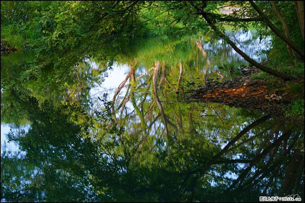 【春天，广西桂林灌阳县向您发出邀请！】熊家寨湿地公园 - 游山玩水 - 景德镇生活社区 - 景德镇28生活网 jdz.28life.net