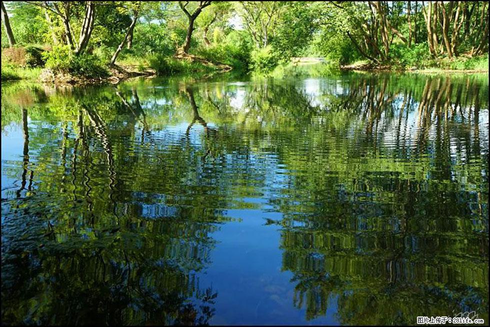 【春天，广西桂林灌阳县向您发出邀请！】熊家寨湿地公园 - 游山玩水 - 景德镇生活社区 - 景德镇28生活网 jdz.28life.net