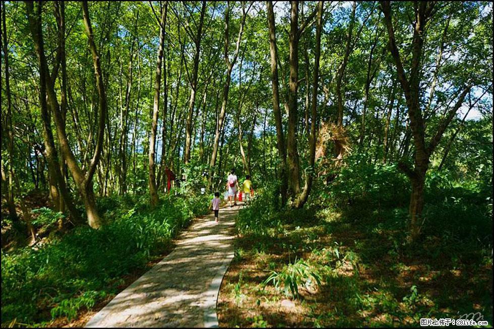 【春天，广西桂林灌阳县向您发出邀请！】熊家寨湿地公园 - 游山玩水 - 景德镇生活社区 - 景德镇28生活网 jdz.28life.net