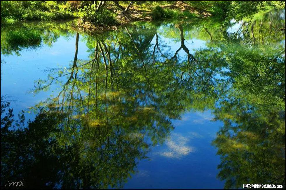 【春天，广西桂林灌阳县向您发出邀请！】熊家寨湿地公园 - 游山玩水 - 景德镇生活社区 - 景德镇28生活网 jdz.28life.net