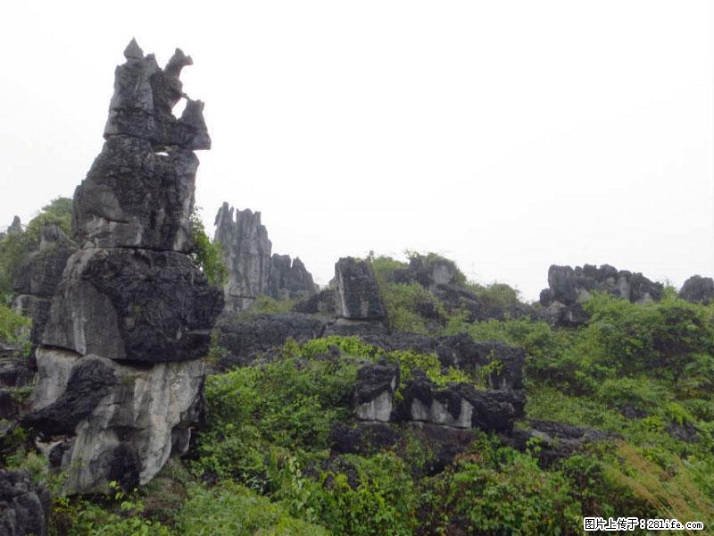 桂林旅游名城景点：灌阳文市石林 - 游山玩水 - 景德镇生活社区 - 景德镇28生活网 jdz.28life.net