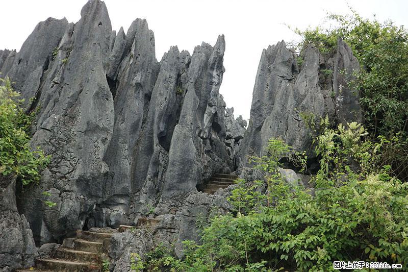 桂林旅游名城景点：灌阳文市石林 - 游山玩水 - 景德镇生活社区 - 景德镇28生活网 jdz.28life.net