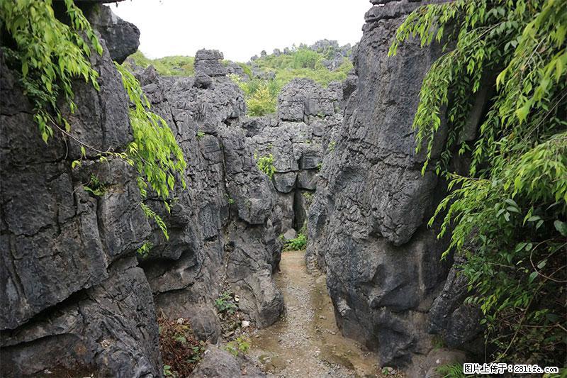 桂林旅游名城景点：灌阳文市石林 - 游山玩水 - 景德镇生活社区 - 景德镇28生活网 jdz.28life.net