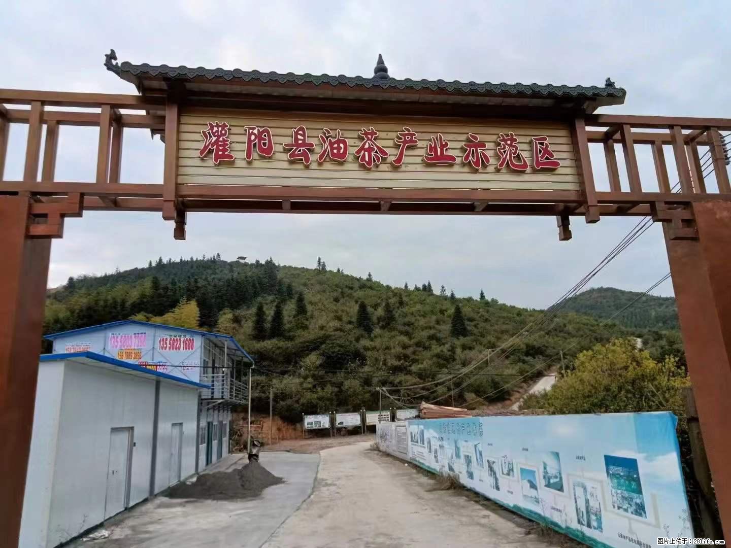 【灌阳县油茶产业示范区】一个有着充实的精神生活的人,对待身外之物自会有一种淡泊的态度 - 土特产 - 饮食特产 - 景德镇分类信息 - 景德镇28生活网 jdz.28life.net