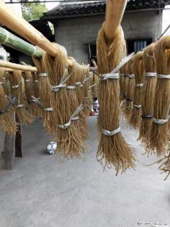 【灌阳正宗红薯粉】美女家里自己做的，干净卫生，假一赔十，价格合理，抢购电话：13737312895 - 景德镇28生活网 jdz.28life.net