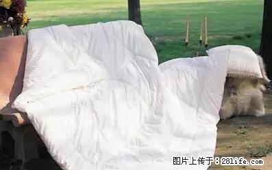 被子有异味？只要这样做，比晒太阳还强100倍！ - 家居生活 - 景德镇生活社区 - 景德镇28生活网 jdz.28life.net