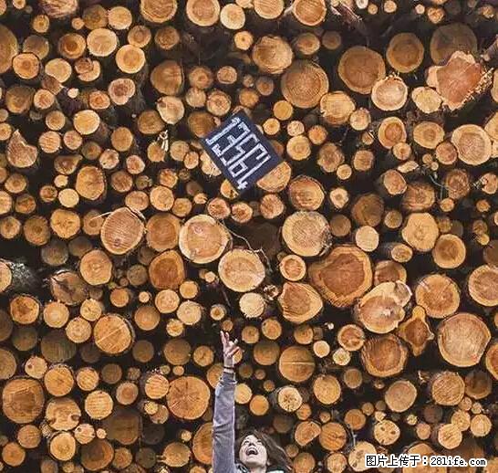 辞掉工作周游世界？现在他们在洗厕所…… - 游山玩水 - 景德镇生活社区 - 景德镇28生活网 jdz.28life.net