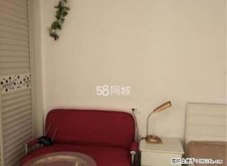 天宇绿园全新装修精装单身公寓，配套齐全，错过就后悔1300 - 景德镇28生活网 jdz.28life.net