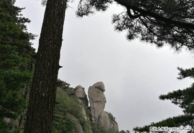 二中附近，08年小区房，随时看房，家具家电全齐 - 房屋出租 - 房屋租售 - 景德镇分类信息 - 景德镇28生活网 jdz.28life.net