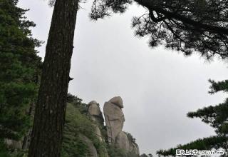 二中附近，08年小区房，随时看房，家具家电全齐 - 景德镇28生活网 jdz.28life.net