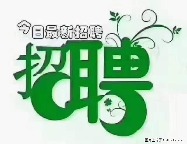 【招聘摄像师】待遇：试用期6000元/月，转正7000元/月+五险一金+餐补+节日福利+奖金 - 其他招聘信息 - 招聘求职 - 景德镇分类信息 - 景德镇28生活网 jdz.28life.net