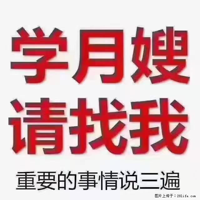 【招聘】月嫂，上海徐汇区 - 职场交流 - 景德镇生活社区 - 景德镇28生活网 jdz.28life.net