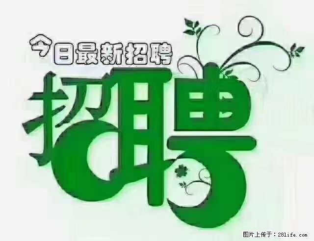 上海隔离酒店招人：55岁以下 男女不限 - 职场交流 - 景德镇生活社区 - 景德镇28生活网 jdz.28life.net