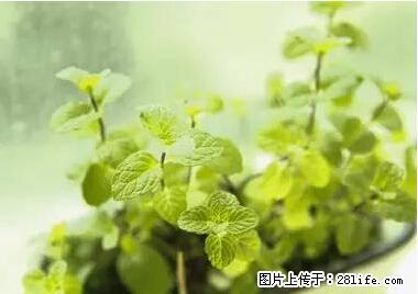 晕车、脚气、牙齿变黄、皮肤粗糙？学会这些三分钟搞定！ - 景德镇生活资讯 - 景德镇28生活网 jdz.28life.net