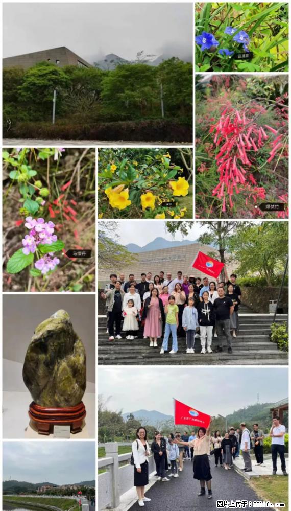 “粤灌文化 美好生活”油茶文化主题活动在广东深圳成功举办 - 景德镇生活资讯 - 景德镇28生活网 jdz.28life.net