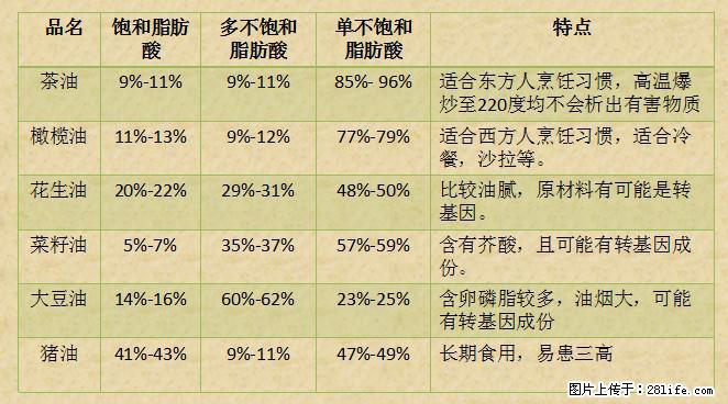 揭秘茶油的5大核心营养成分！被称为人体健康的“守护盾”！ - 景德镇生活资讯 - 景德镇28生活网 jdz.28life.net