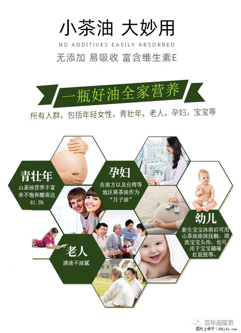 世界没有真相，只有认知，最好的食用油是中国的山茶油！ - 景德镇生活资讯 - 景德镇28生活网 jdz.28life.net