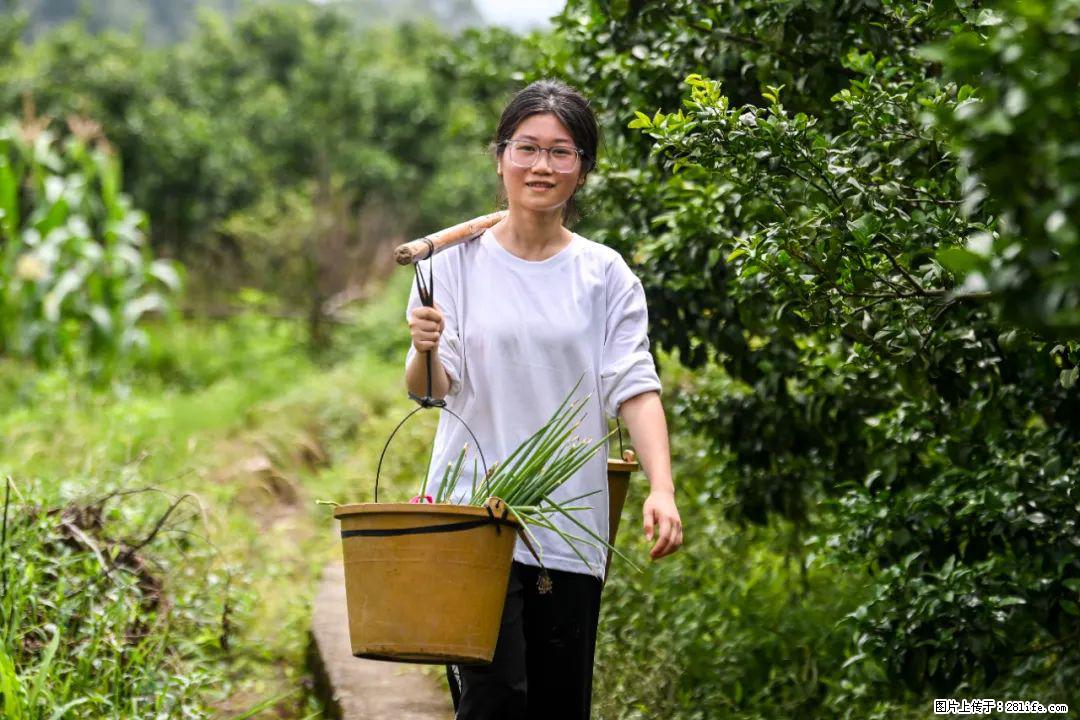 全网追的“扁担女孩”，找了一份暑假工，时薪12元 - 景德镇生活资讯 - 景德镇28生活网 jdz.28life.net