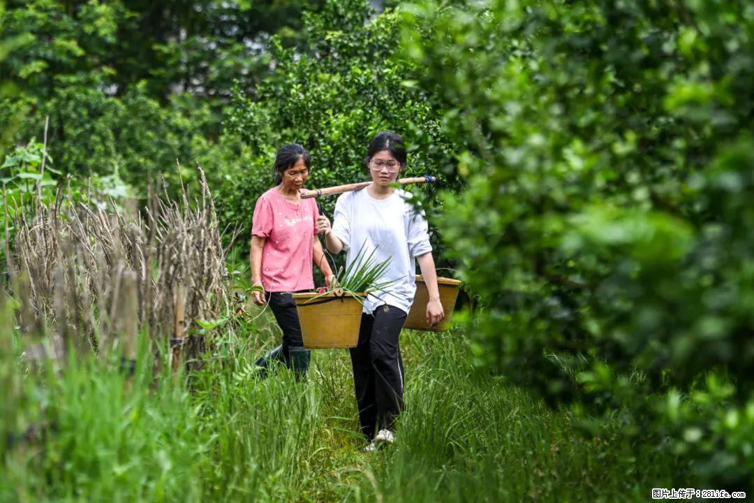 全网追的“扁担女孩”，找了一份暑假工，时薪12元 - 景德镇生活资讯 - 景德镇28生活网 jdz.28life.net