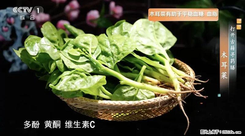 比牛奶补钙还厉害!凉血解毒、稳血糖...这菜冬天必吃,很多人却当草 - 景德镇生活资讯 - 景德镇28生活网 jdz.28life.net