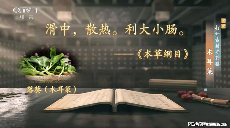 比牛奶补钙还厉害!凉血解毒、稳血糖...这菜冬天必吃,很多人却当草 - 景德镇生活资讯 - 景德镇28生活网 jdz.28life.net